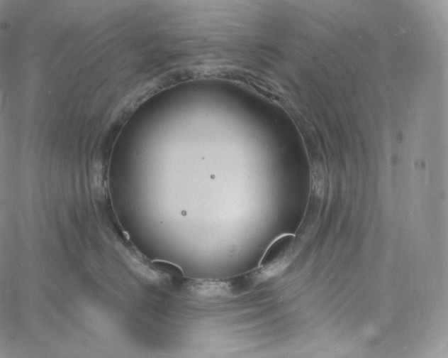 X0000060810670200511241937