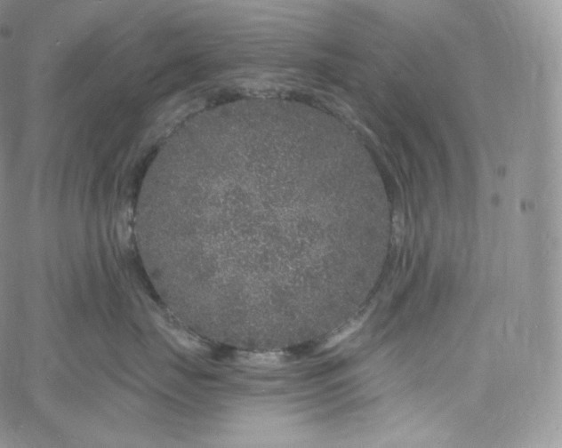 X0000060810671200511241937