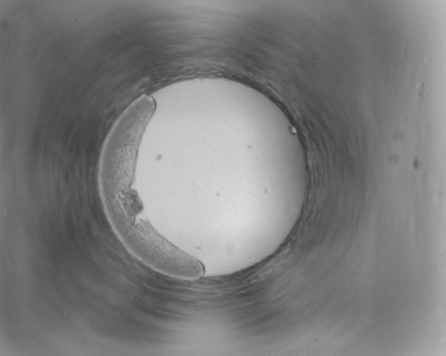 X0000060810672200511241937