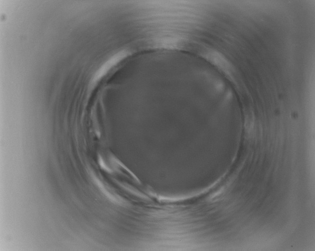 X0000060810674200511241936