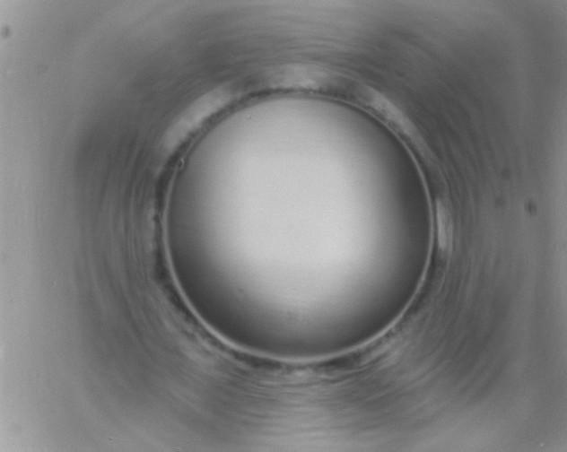 X0000060810675200511241936