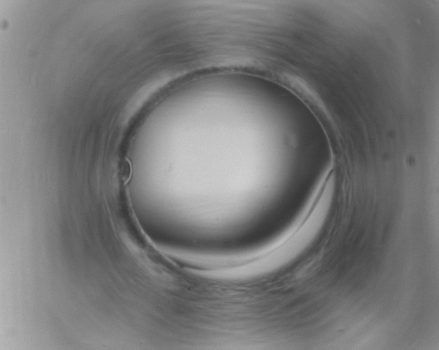 X0000060810676200511241936