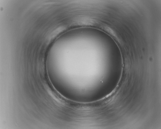 X0000060810677200511241936