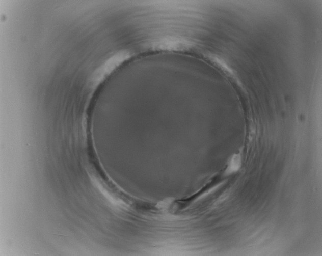 X0000060810678200511241936