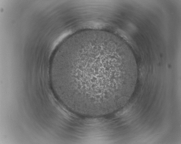 X0000060810679200511241936