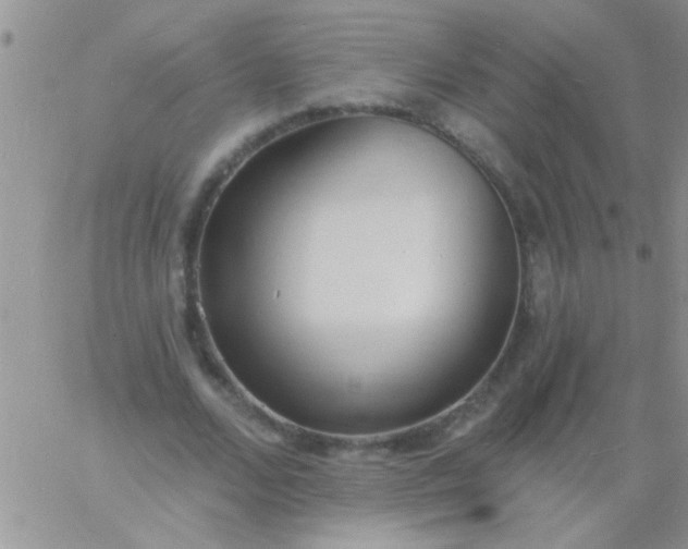 X0000060810680200511241936