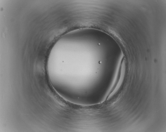 X0000060810681200511241936