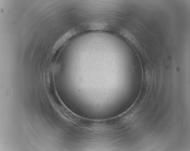 X0000060810682200511241936