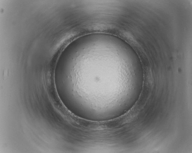 X0000060810683200511241936