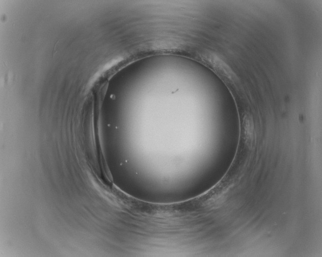 X0000060810684200511241936