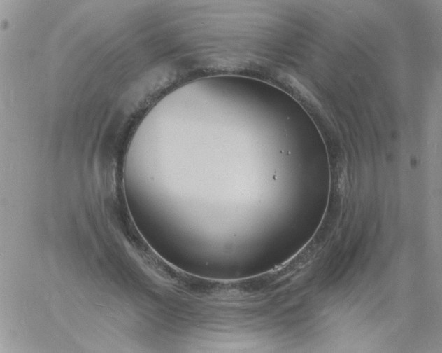 X0000060810685200511241936