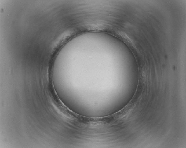 X0000060810686200511241936