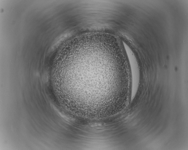 X0000060810687200511241936