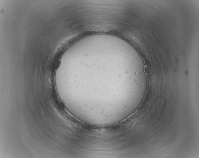 X0000060810688200511241936