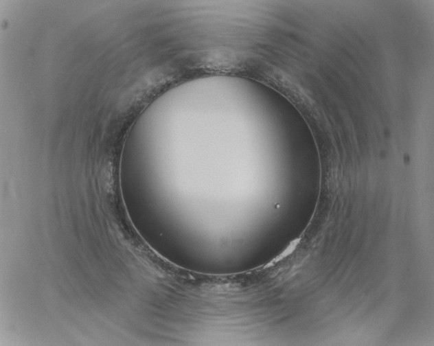 X0000060810689200511241936