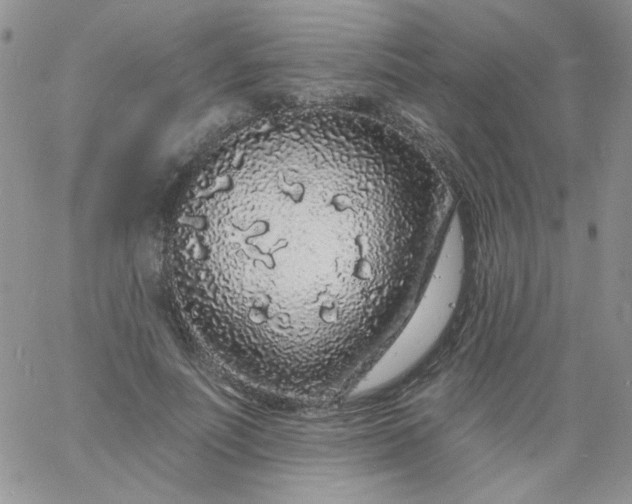 X0000060810691200511241936