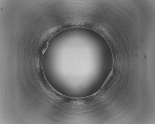 X0000060810692200511241936