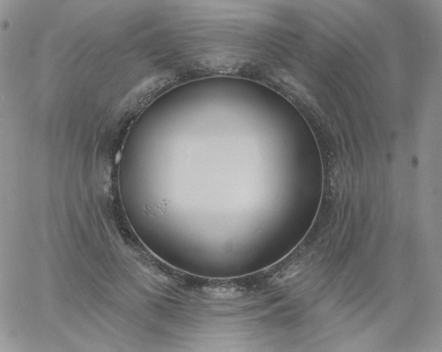 X0000060810693200511241936