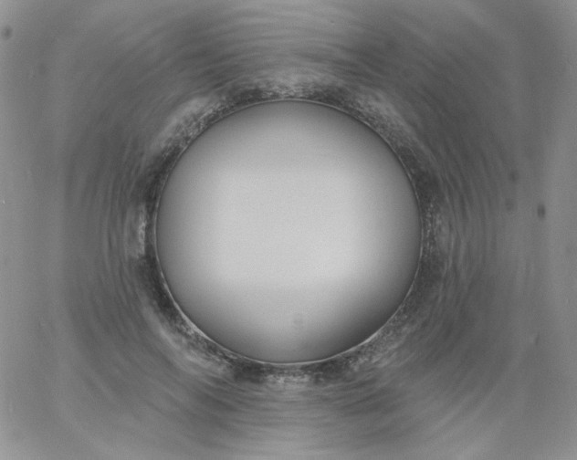 X0000060810694200511241936