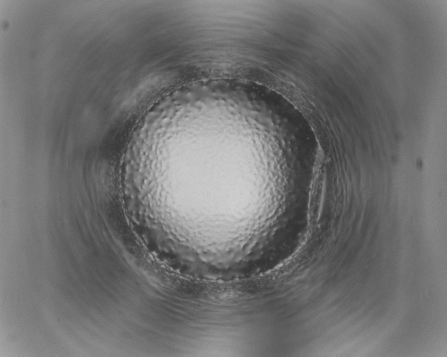 X0000060810695200511241936