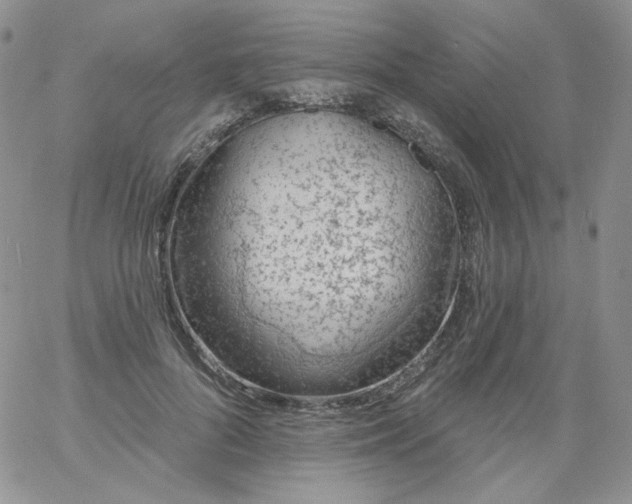 X0000060810696200511241936