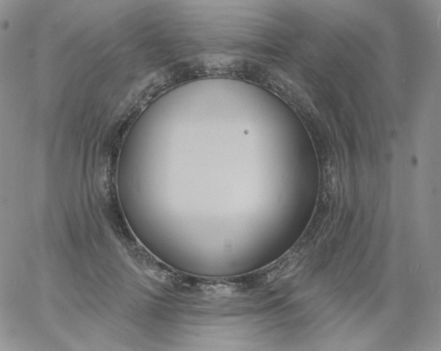 X0000060810698200511241936