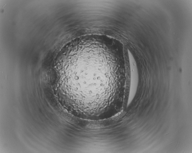 X0000060810699200511241936