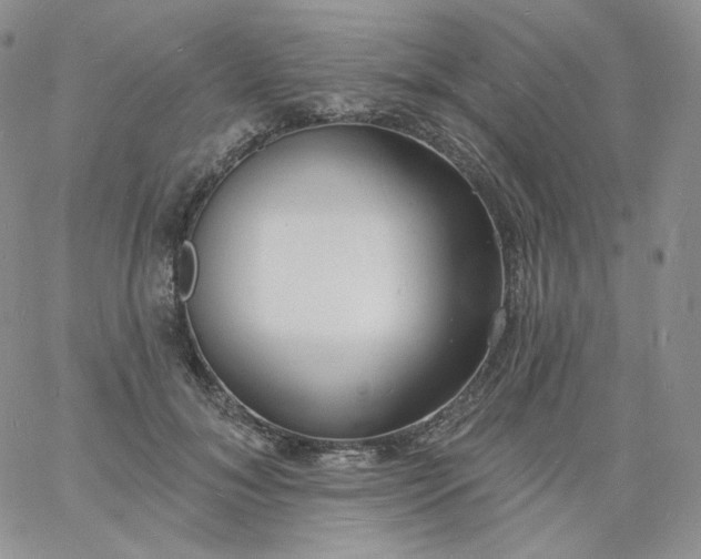 X0000060810700200511241936