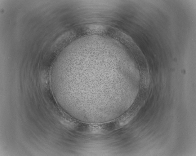 X0000060810701200511241936