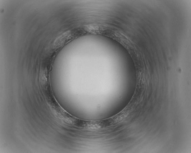 X0000060810702200511241936