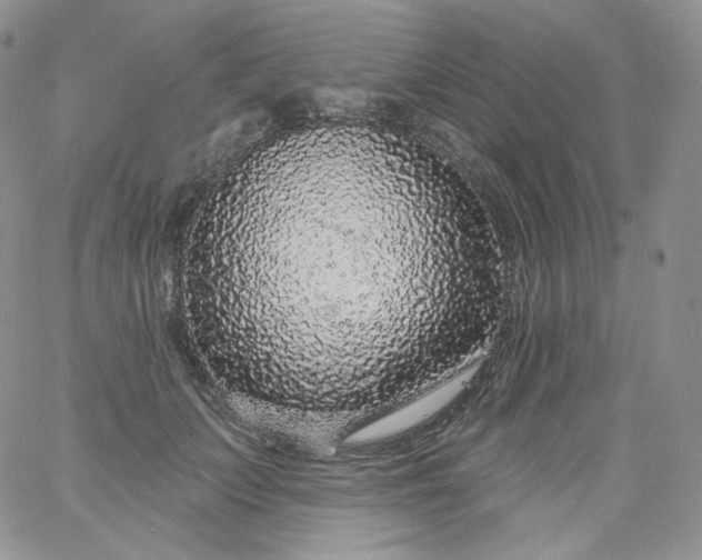 X0000060810703200511241936