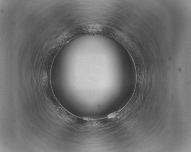 X0000060810704200511241935