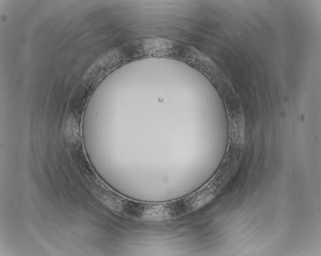 X0000060810705200511241935