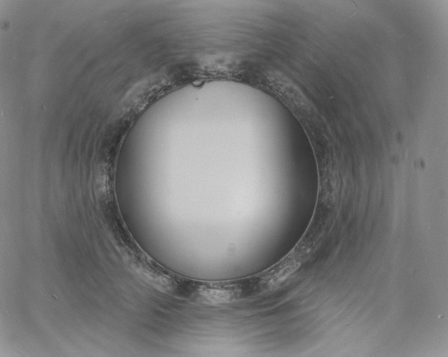 X0000060810706200511241935