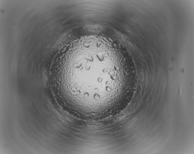 X0000060810707200511241935