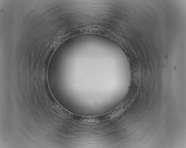 X0000060810708200511241935