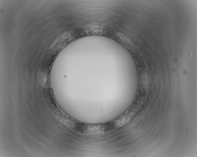 X0000060810709200511241935