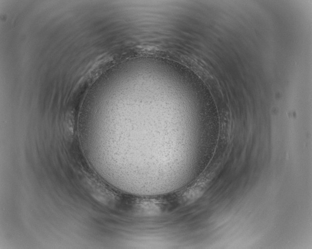 X0000060810710200511241935