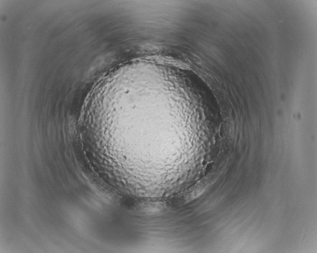 X0000060810711200511241935