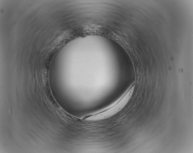 X0000060810712200511241935