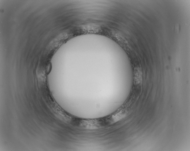 X0000060810713200511241935