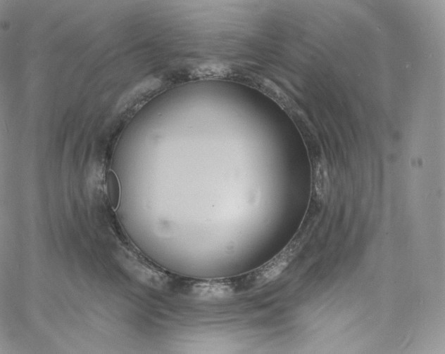 X0000060810714200511241935