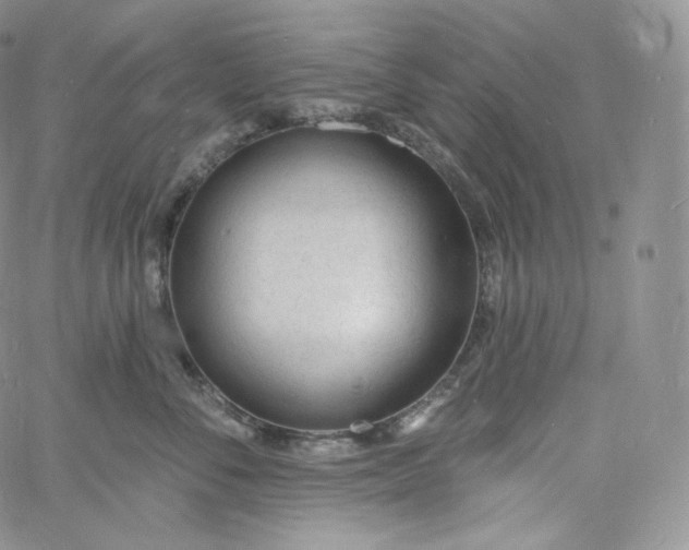 X0000060810716200511241935