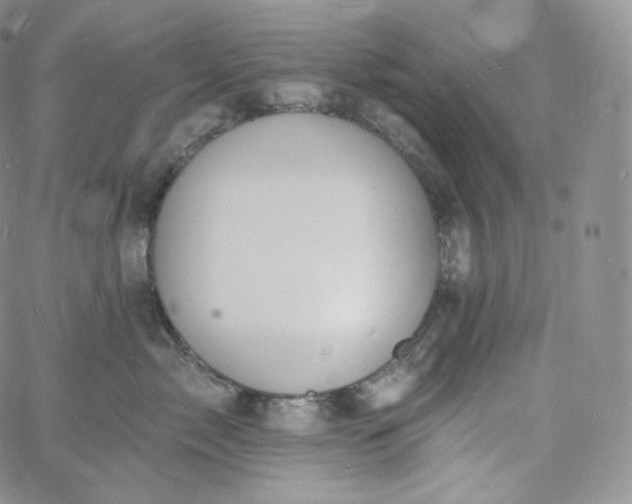 X0000060810717200511241935