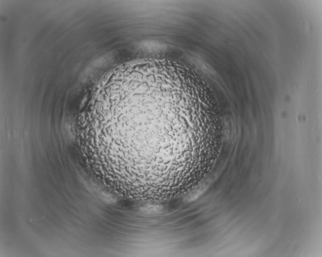 X0000060810718200511241935