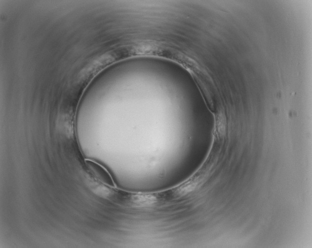 X0000060810719200511241935