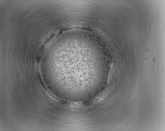 X0000060810720200511241935