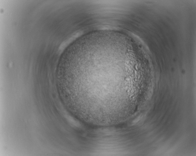 X0000060810721200511241934