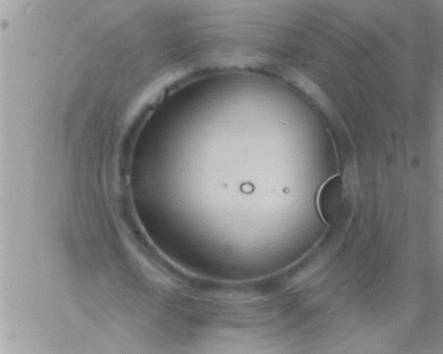 X0000060810722200511241934