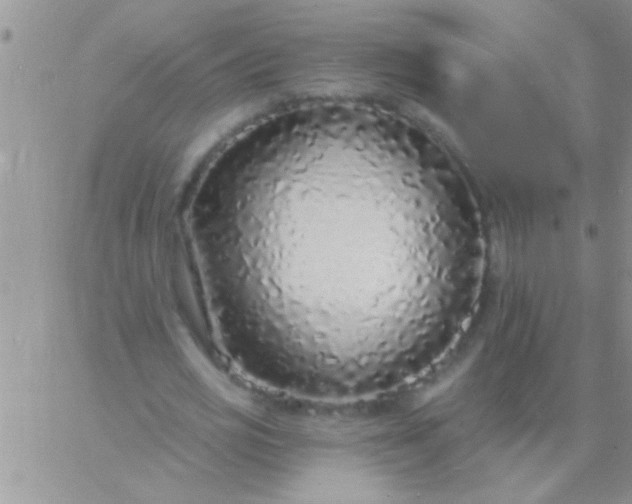 X0000060810725200511241935